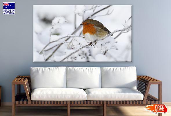 Robin Bird Sitting on Branch Snow Photograph Print 100% Australian Made