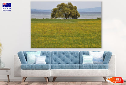 Tree on Grass Field Near Lake Photograph Print 100% Australian Made