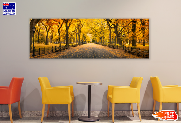 Panoramic Canvas Autumn Trees Road High Quality 100% Australian made wall Canvas Print ready to hang