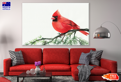 Cardinal Bird On a Branch Painting Print 100% Australian Made