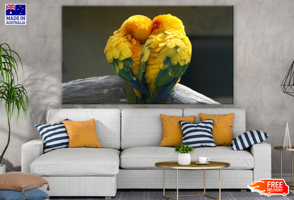 Two Parrot Birds Love Photograph Print 100% Australian Made