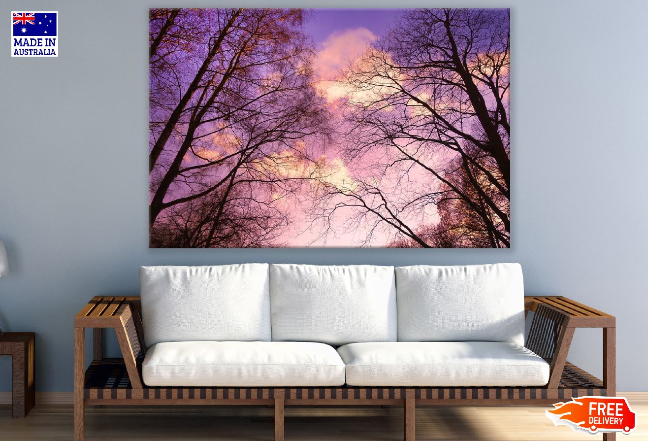 Dead Trees & Branches Sunset Photograph Print 100% Australian Made