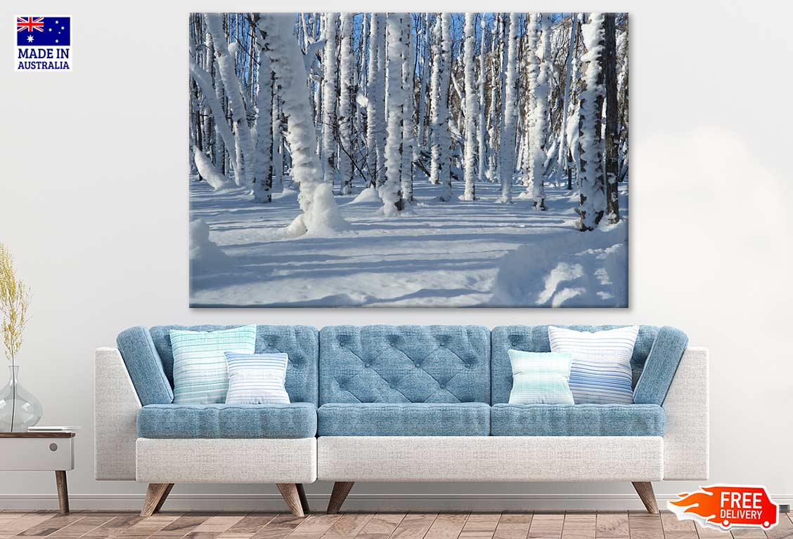 Snow Covered Forest Photograph Print 100% Australian Made