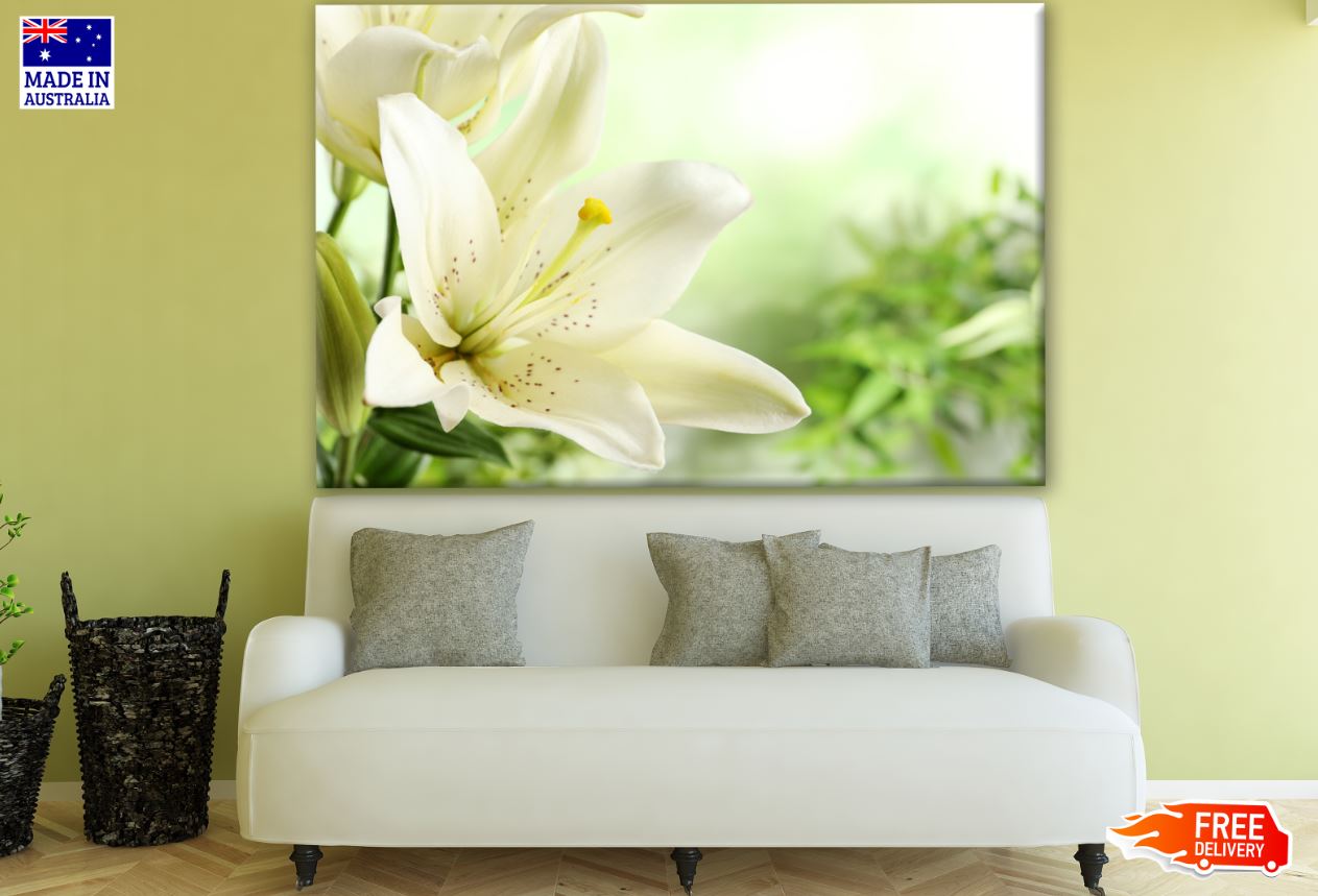 Beautiful Lilies Closeup Photograph Print 100% Australian Made