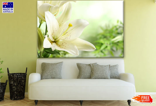 Beautiful Lilies Closeup Photograph Print 100% Australian Made