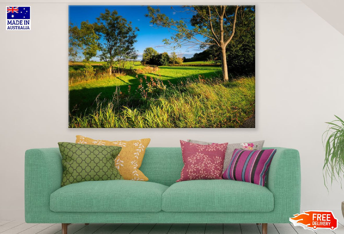 Trees on Grass Field Sunset Photograph Print 100% Australian Made