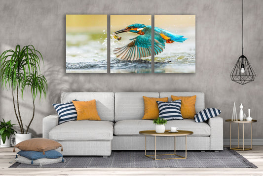 3 Set of Kingfisher Bird Hunting a Fish Photograph High Quality Print 100% Australian Made Wall Canvas Ready to Hang