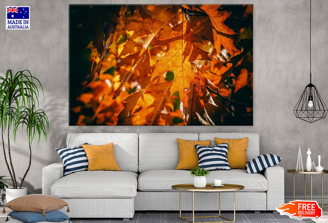 Orange Leaves Closeup Photograph Print 100% Australian Made