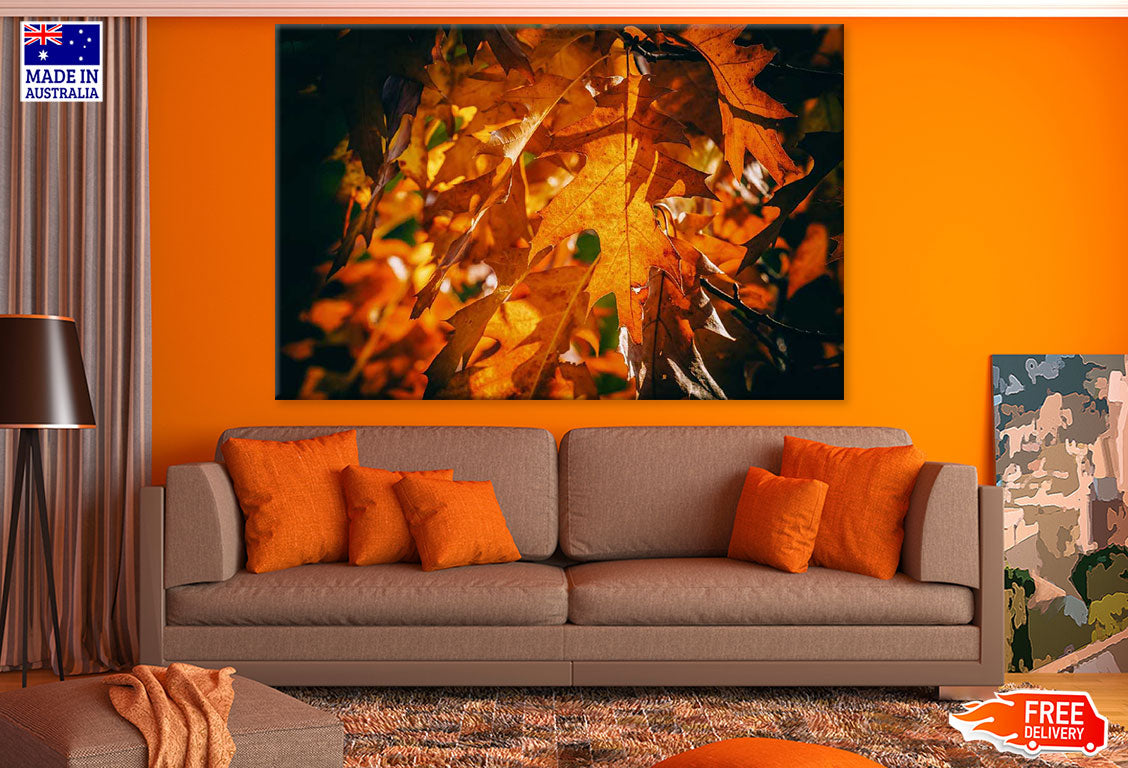 Orange Leaves Closeup Photograph Print 100% Australian Made