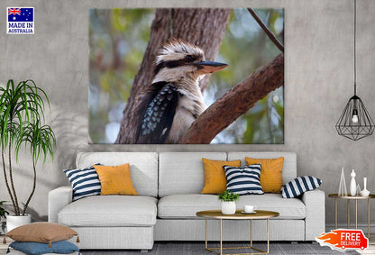 Kookaburra on Tree Closeup View Photograph Print 100% Australian Made