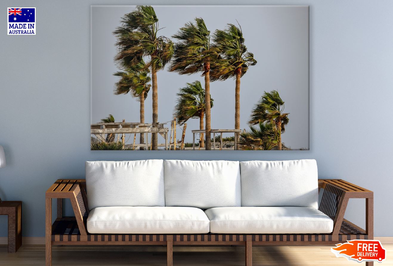 Palm Trees Blowing in the Wind Photograph Print 100% Australian Made