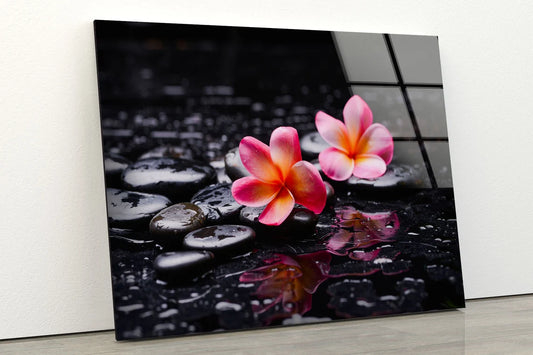 Zen Stones & Flowers Photograph Acrylic Glass Print Tempered Glass Wall Art 100% Made in Australia Ready to Hang