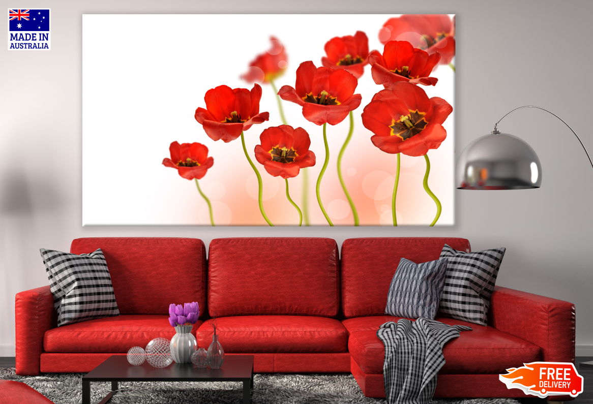 Poppy Flowers Photograph Print 100% Australian Made