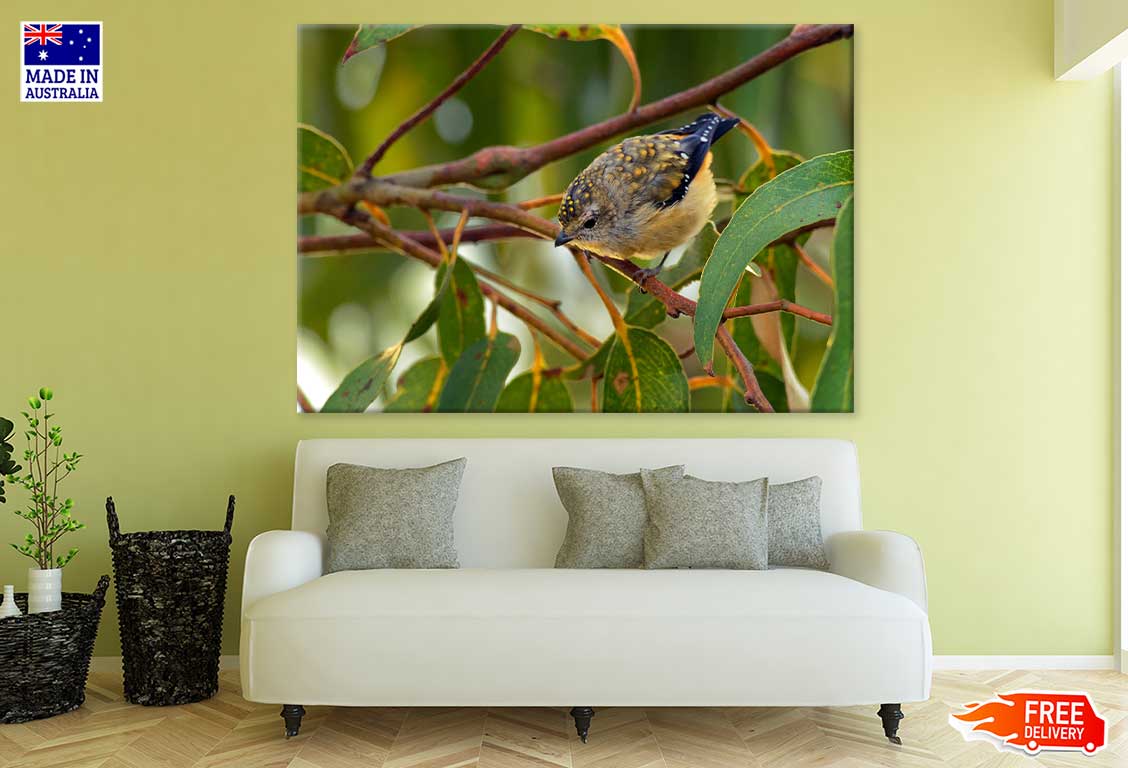 Small Hummingbird Photograph Print 100% Australian Made