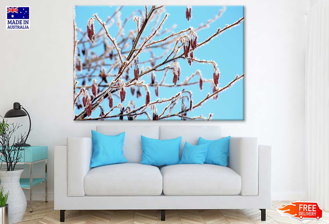 Tree Branch Closeup Photograph Print 100% Australian Made