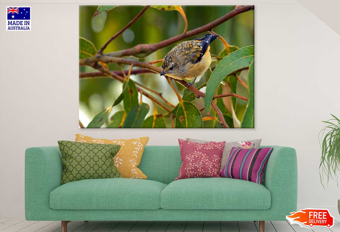 Small Hummingbird Photograph Print 100% Australian Made