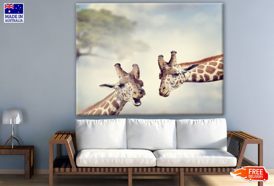 Giraffe Couple Portrait Photograph Print 100% Australian Made