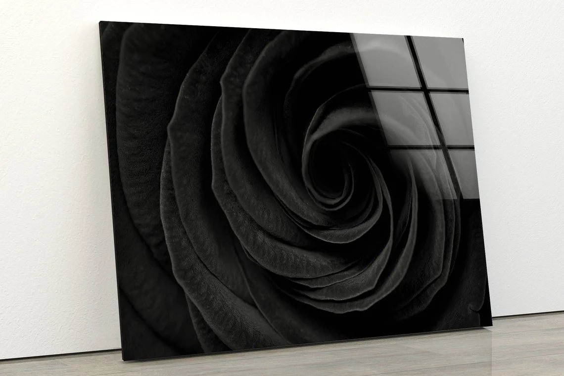 Black Flower Closeup Photograph Acrylic Glass Print Tempered Glass Wall Art 100% Made in Australia Ready to Hang