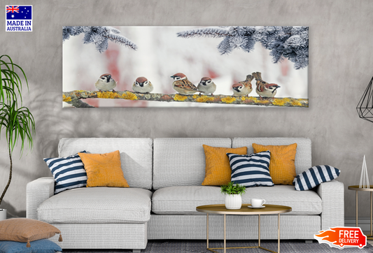 Panoramic Canvas House Sparrow Birds Sitting on a Branch High Quality 100% Australian made wall Canvas Print ready to hang