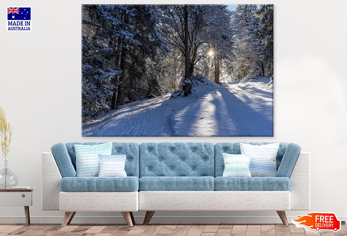 Snow Covered Forest Photograph Print 100% Australian Made