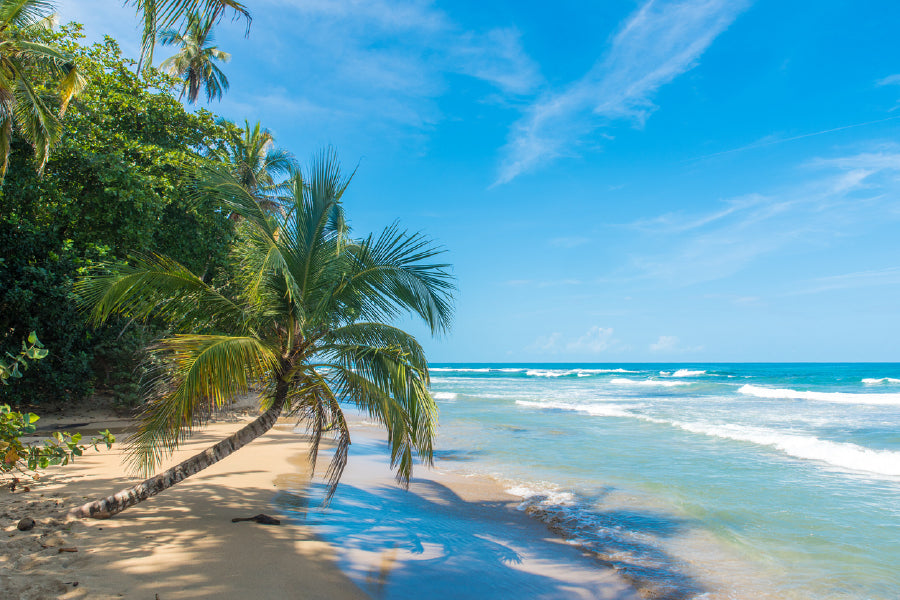 Bella Home Wild Beach Close To Costa Rica Print Canvas Ready to hang