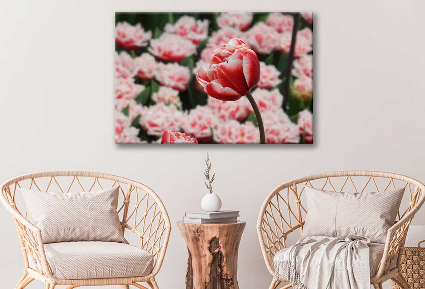 Bella Home Red White Tulip Flowers Closeup Print Canvas Ready to hang