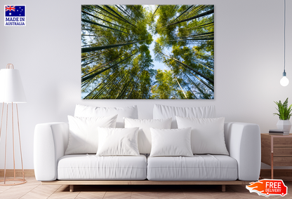 Below Trees & Sky View Photograph Print 100% Australian Made