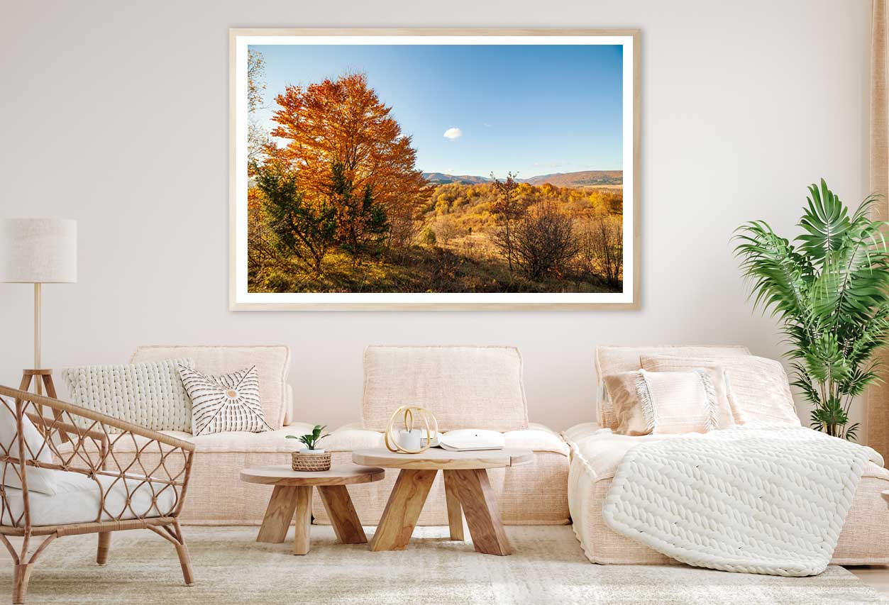 Orange Autumn Tree on Hill & Sky View Photograph Home Decor Premium Quality Poster Print Choose Your Sizes