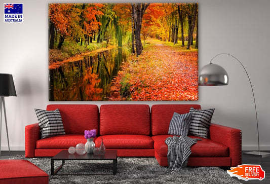 Stunning Autumn Forest Print 100% Australian Made
