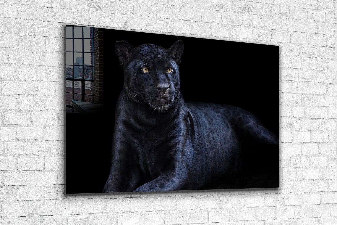 Black Panther Closeup Print Tempered Glass Wall Art 100% Made in Australia Ready to Hang