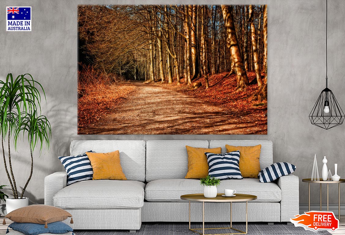 Road in Autumn Forest Photograph Print 100% Australian Made