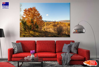 Orange Autumn Tree on Hill & Sky Scenery View Print 100% Australian Made