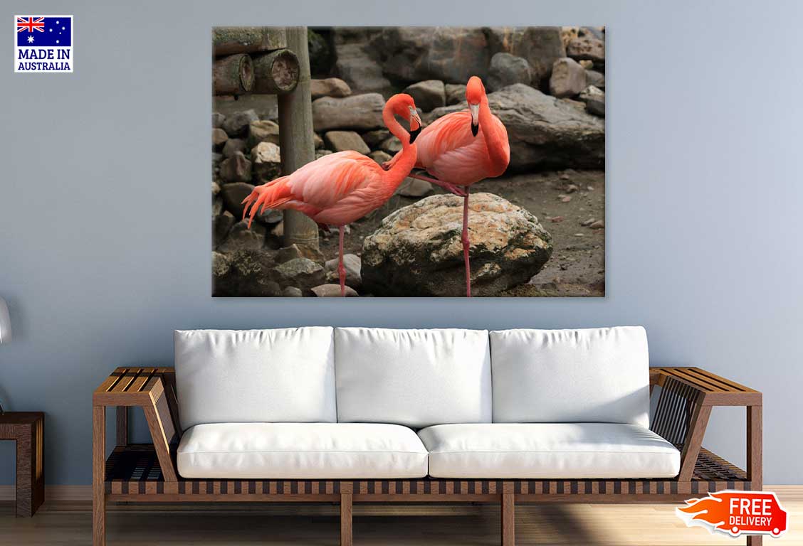 Flamingo Birds View Photograph Print 100% Australian Made