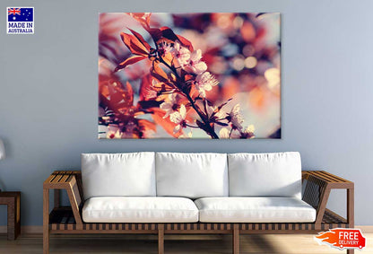 Cherry Blossoms with Leaves View Photograph Print 100% Australian Made