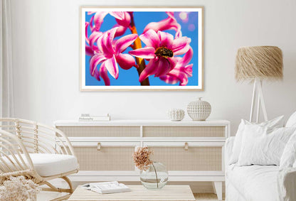 Pink Hyacinth Flowers & Blue Sky View Photograph Home Decor Premium Quality Poster Print Choose Your Sizes