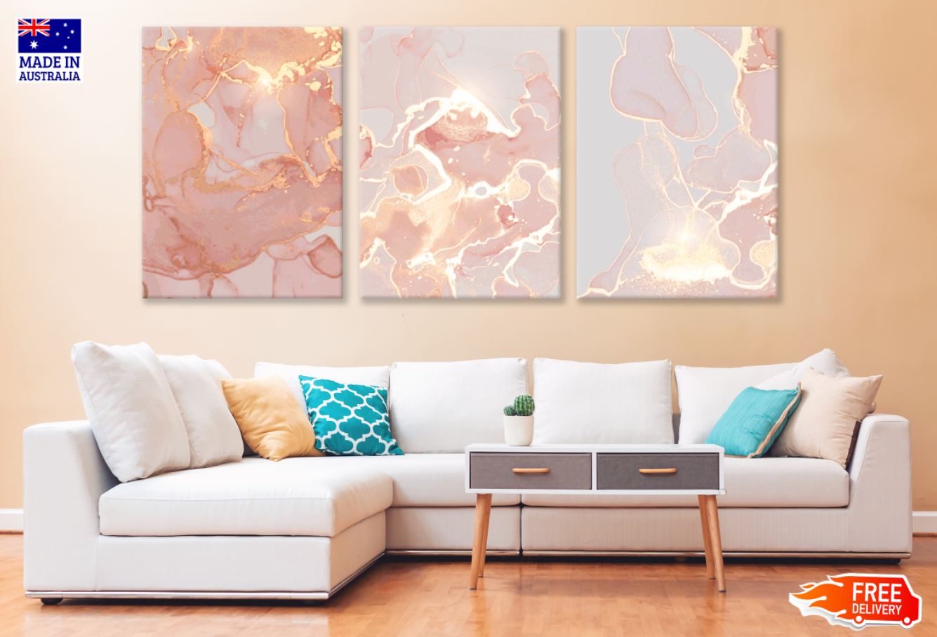 3 Set of Pink & Gold Abstract Art High Quality Print 100% Australian Made Wall Canvas Ready to Hang