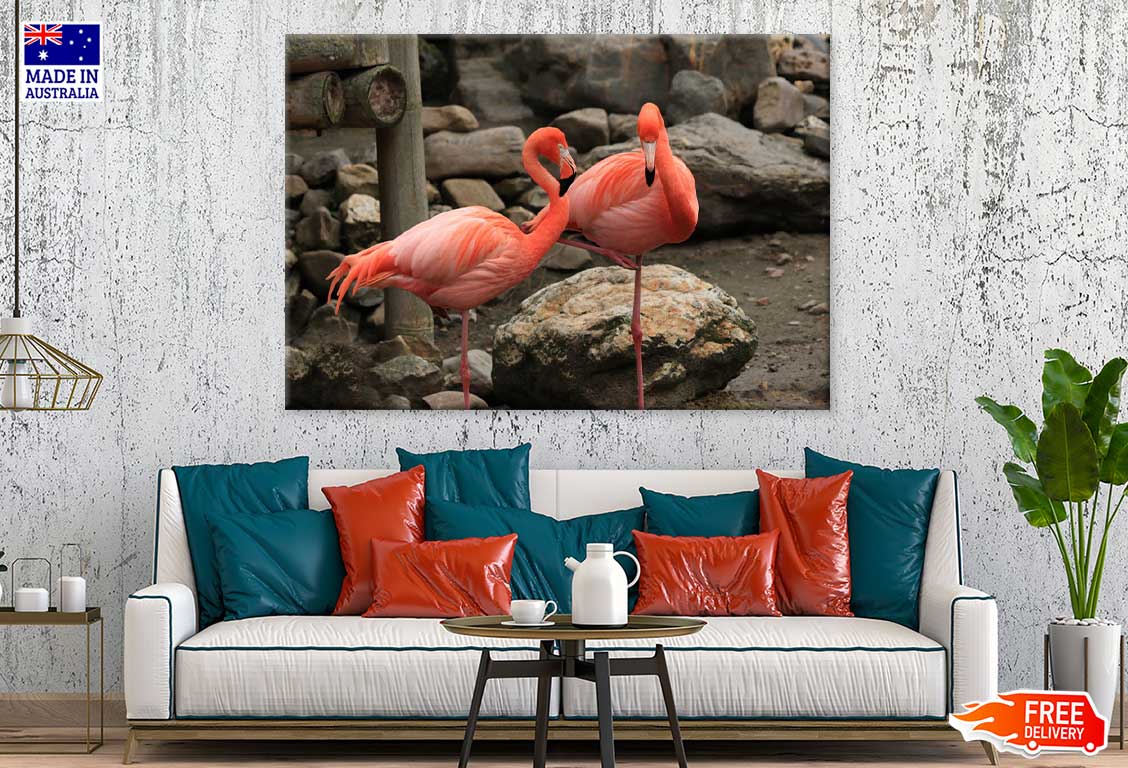 Flamingo Birds View Photograph Print 100% Australian Made