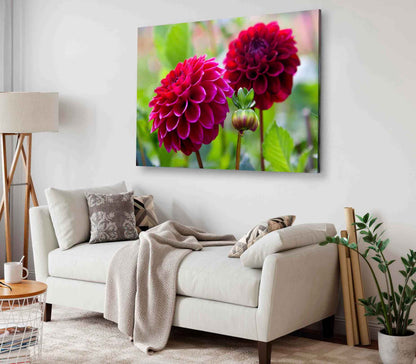 Bella Home Red Dahlia Flowers With Flower Buds Print Canvas Ready to hang