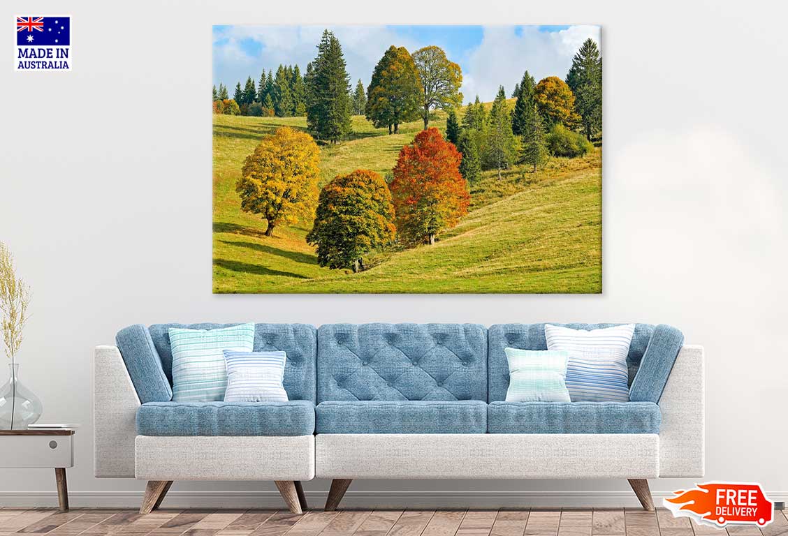 Trees on Green Mountain Hill View Photograph Print 100% Australian Made