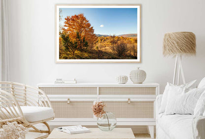 Orange Autumn Tree on Hill & Sky View Photograph Home Decor Premium Quality Poster Print Choose Your Sizes