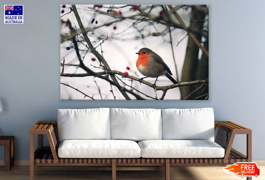 Red Chest Bird on Tree Photograph Print 100% Australian Made