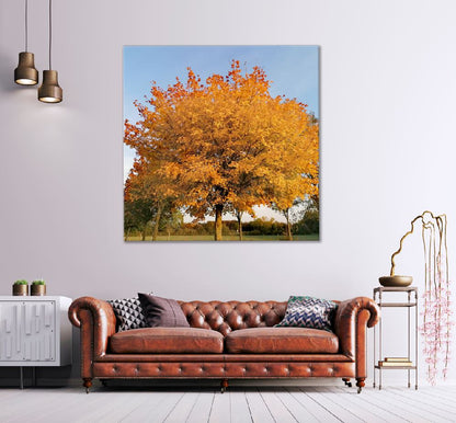 Square Canvas Red & Orange Autumn Tree View Photograph High Quality Print 100% Australian Made