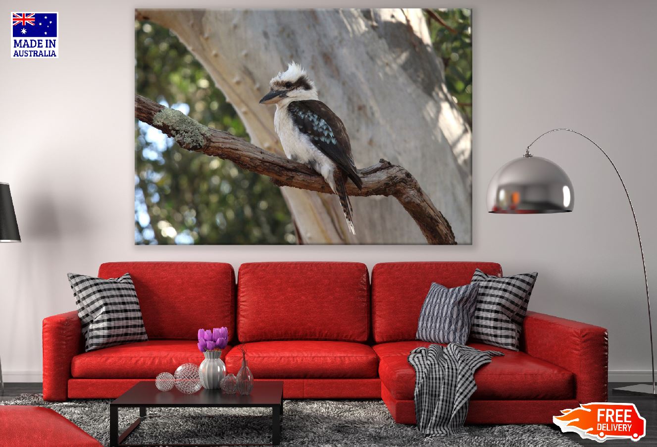 Kookaburra on Tree Branch Closeup Photograph Print 100% Australian Made