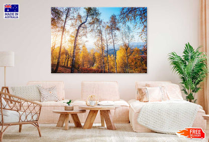 Large Autumn Trees in Forest Scenery View Photograph Print 100% Australian Made