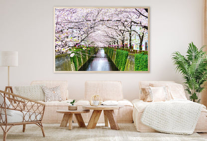 Cherry Blossoms Tree Meguro River Photograph Home Decor Premium Quality Poster Print Choose Your Sizes