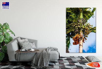 Betel Nut Palm Tree Photograph Print 100% Australian Made