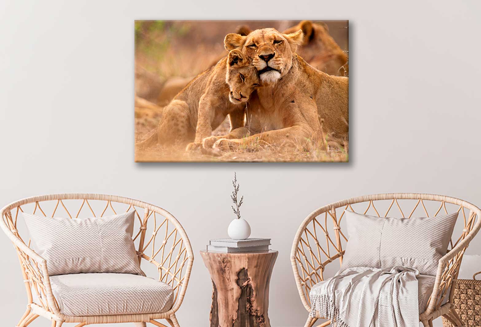 Bella Home Lioness & Cub in The Kruger Print Canvas Ready to hang ...