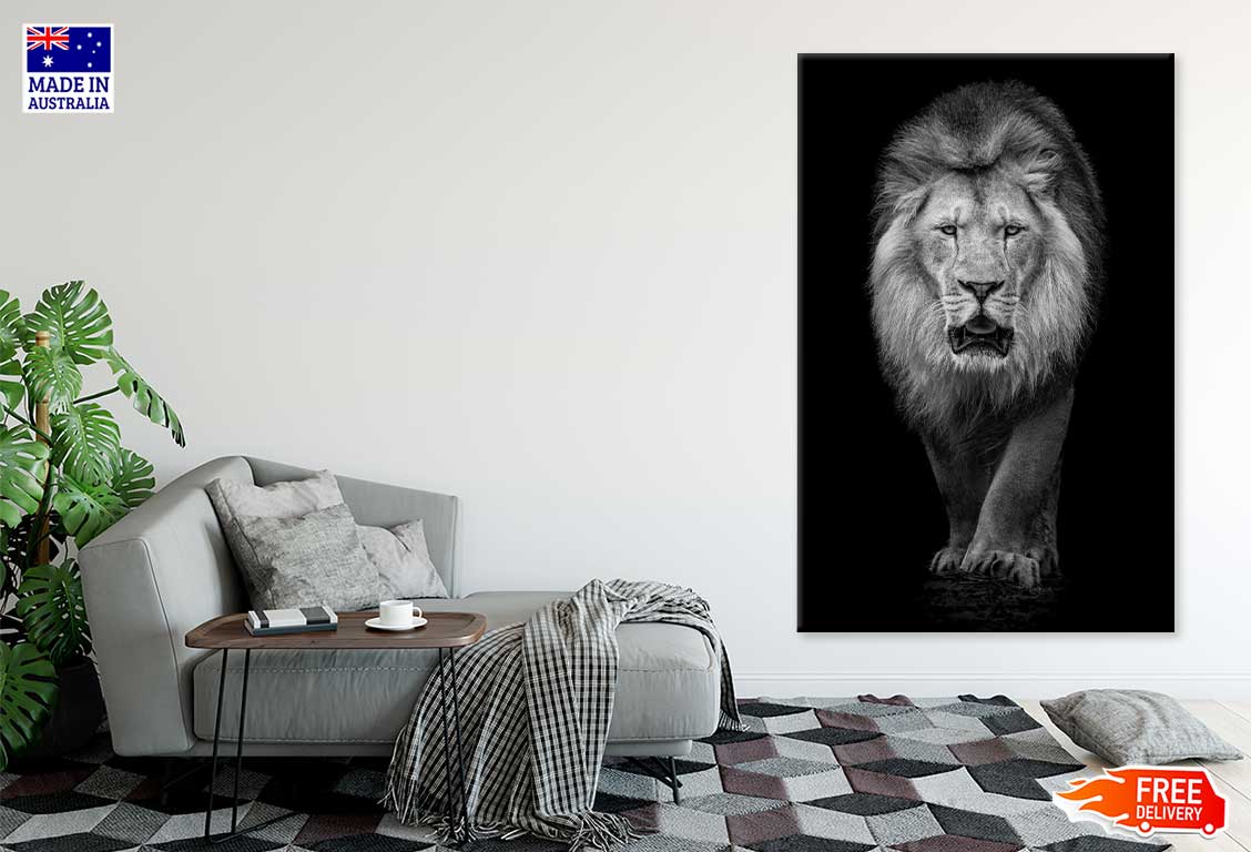 Lion on Dark Portrait B&W View Photograph Print 100% Australian Made