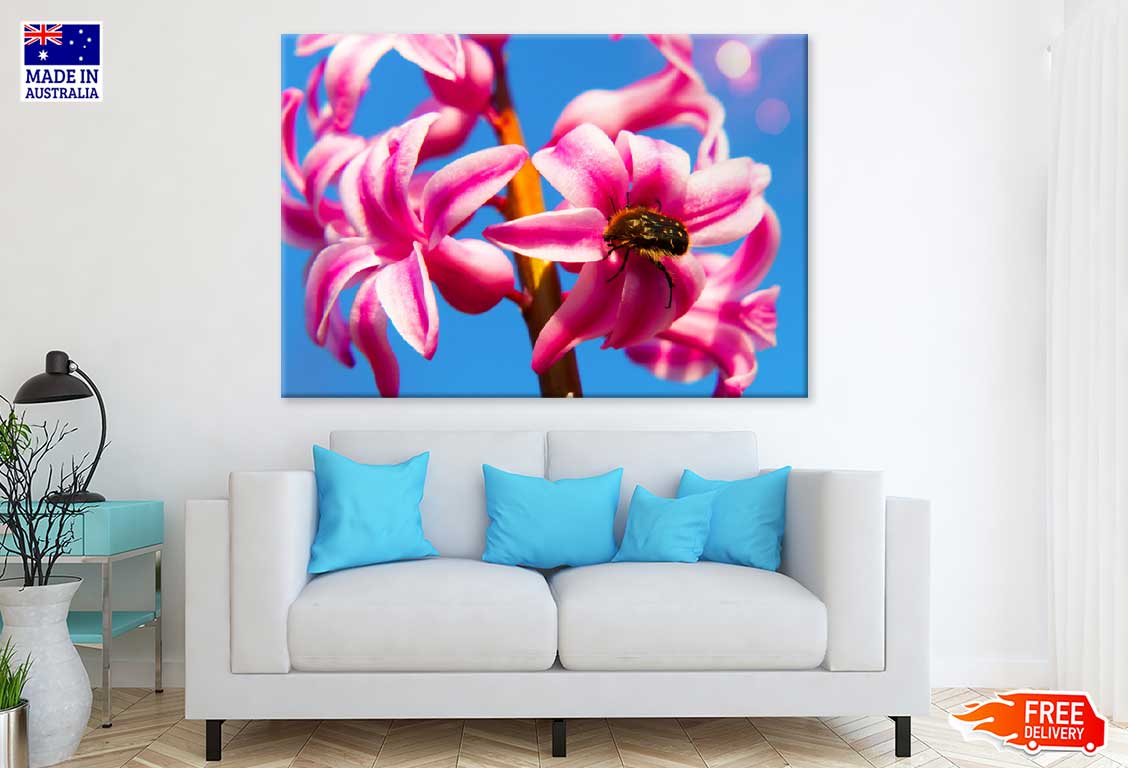 Pink Hyacinth Flowers & Blue Sky View Photograph Print 100% Australian Made