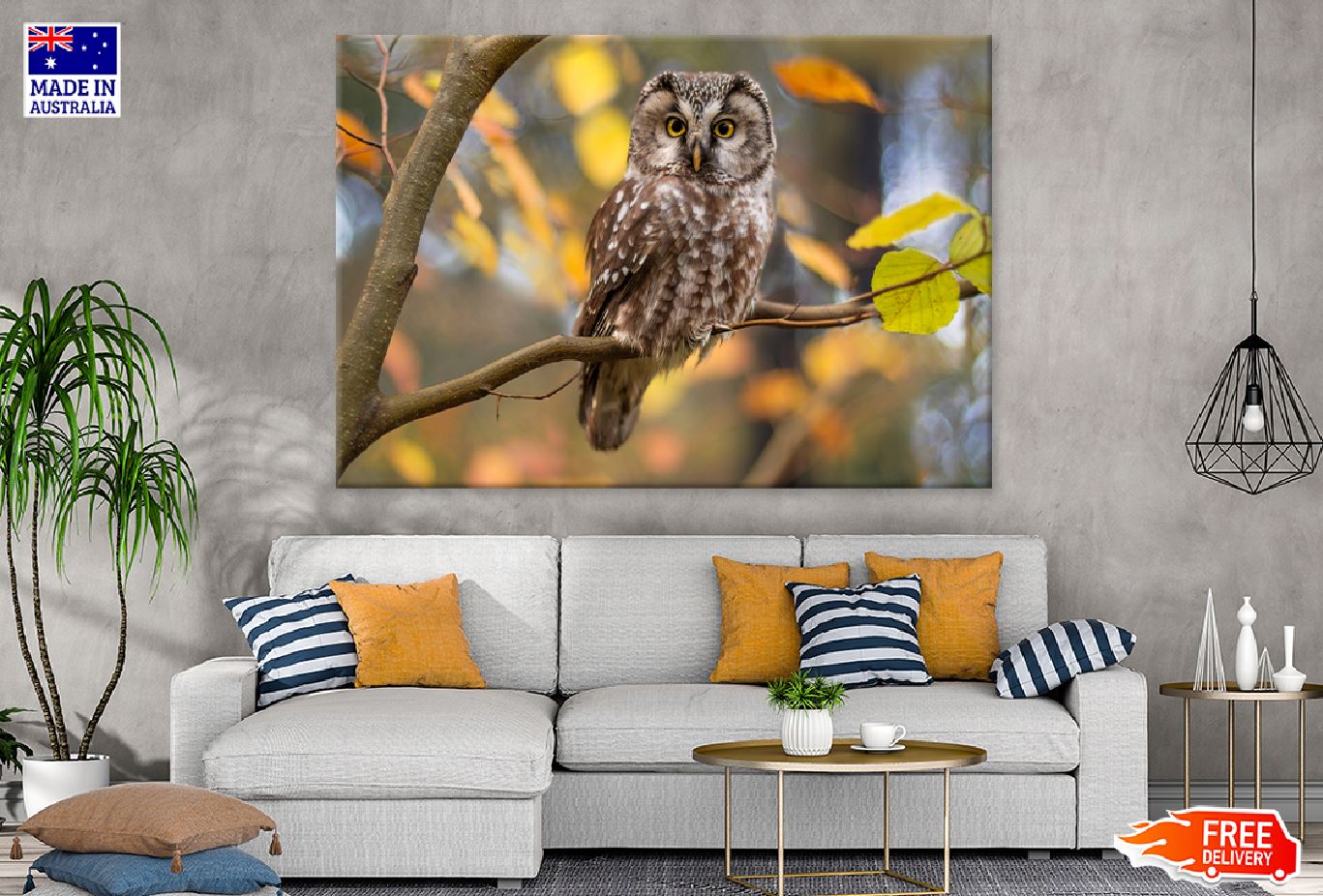 Owl on Branch View Photograph Print 100% Australian Made